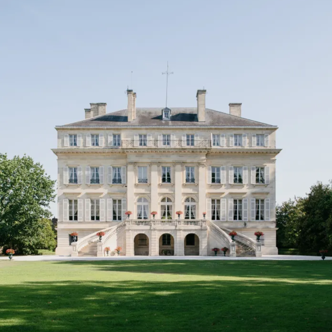 The Médoc by Gravel bike with picnic lunch & a local wine stop