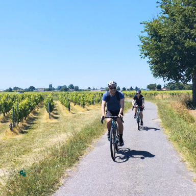 Paysages viticoles de Saint-Émilion à découvrir à vélo gravel, entre petites routes de campagne, vignes et villages historiques.