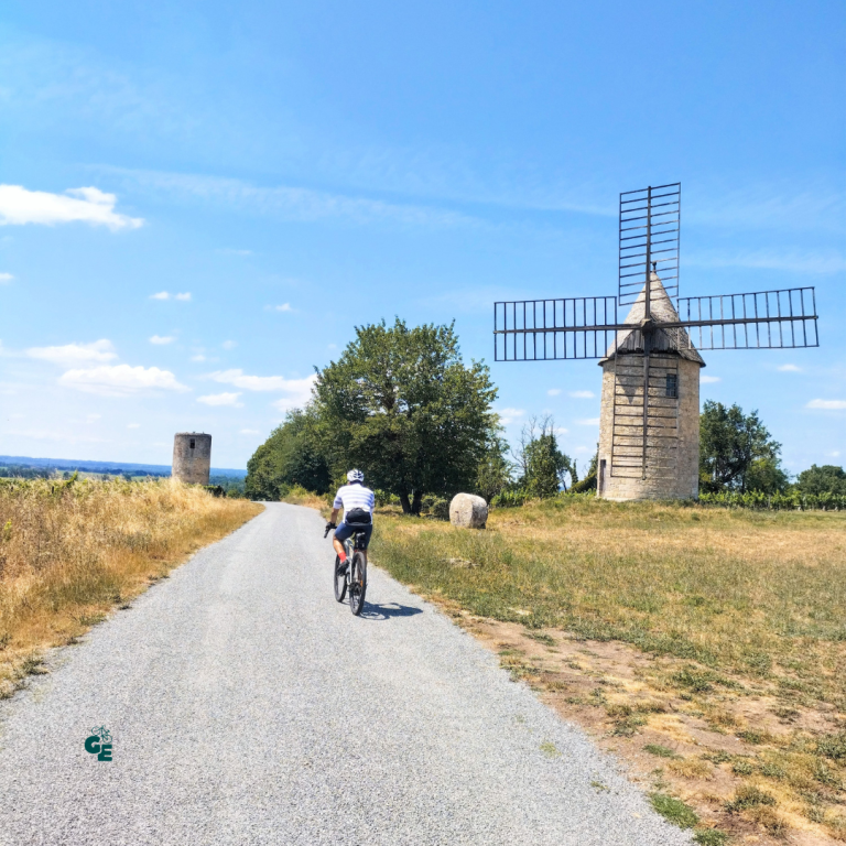 Saint-Émilion autrement : à vélo au cœur des vignobles Échappez-vous de Bordeaux le temps d'une journée pour découvrir les vignobles de Saint-Émilion et ses chemins de gravel confidentiels.