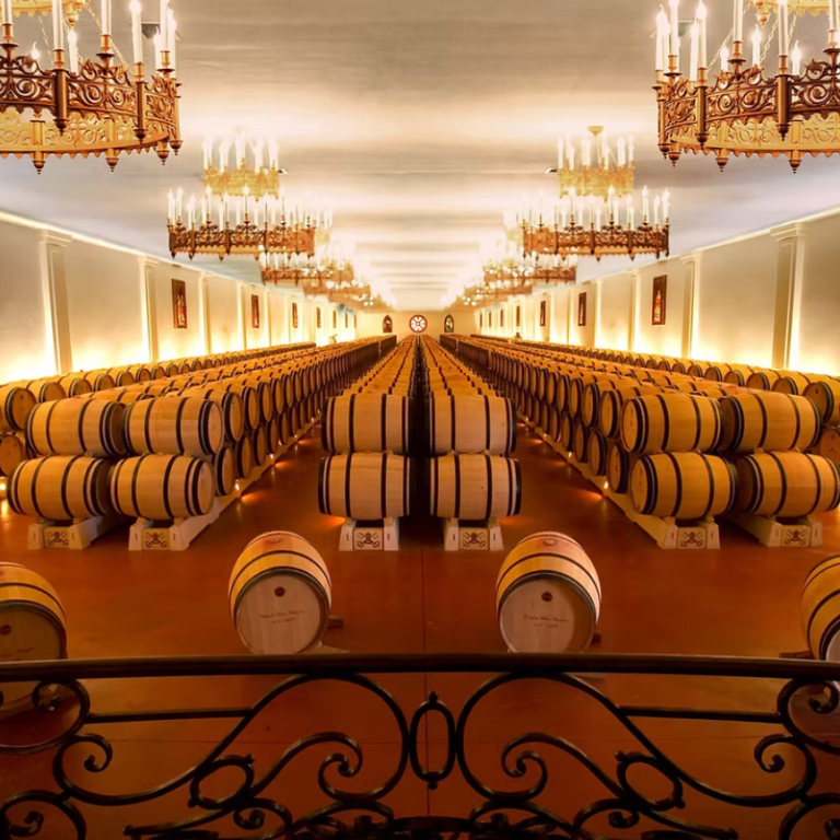 Ride Through Vineyards at the Heart of Bordeaux