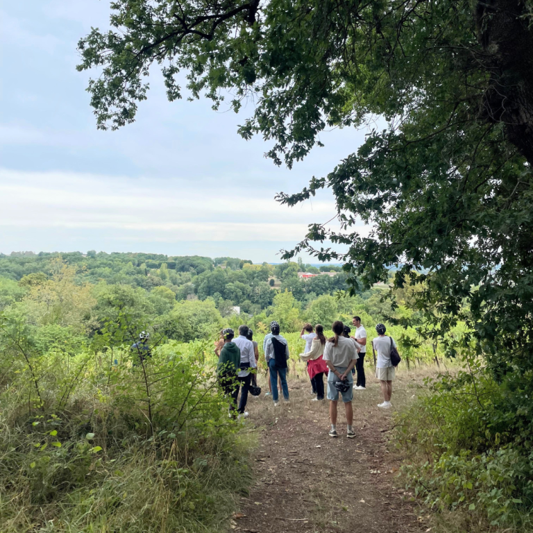 Balade à vélo séminaire à Bordeaux - Entre Deux Mers Balade à vélo dans les vignobles de Bordeaux - Entre Deux Mers pour les séminaires