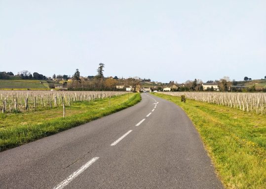 Saint-Emilion à vélo : Roule entre les vignobles les plus prestigieux de la région.