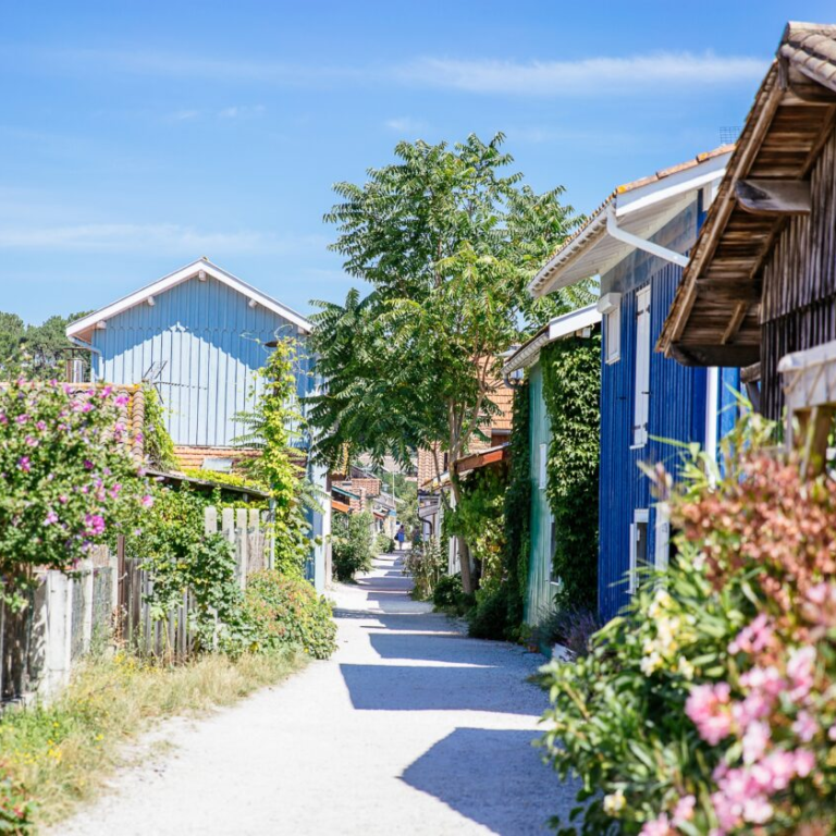 Le cap ferret à vélo gravel ou en vélo électrique Entre le bassin d’Arcachon et l’océan Atlantique, cette expérience à vélo vous invite à découvrir l’âme de la presqu’île.