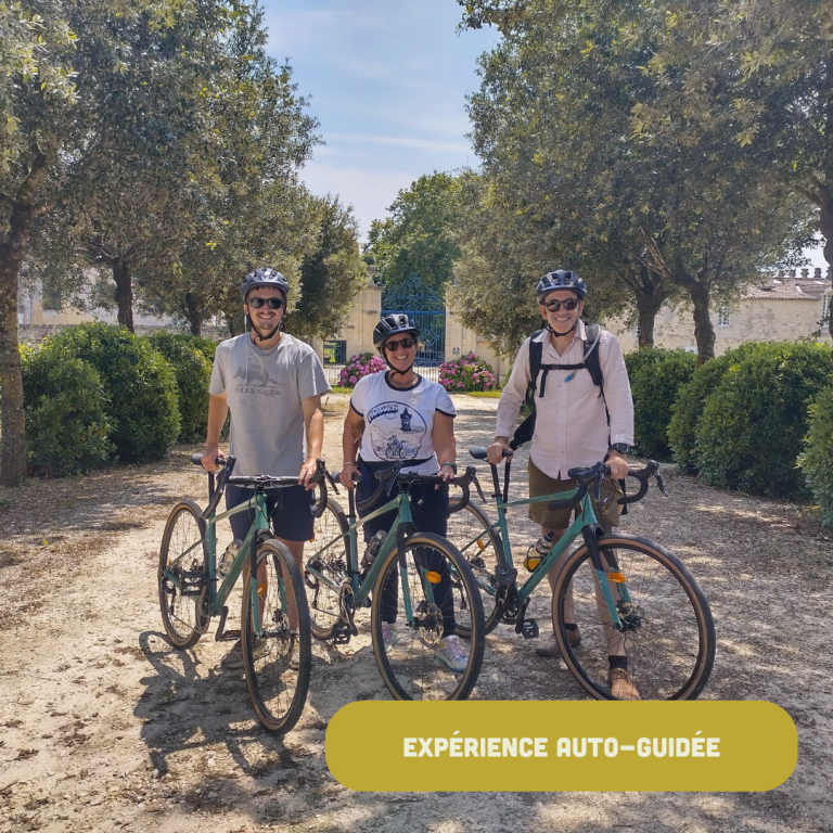 Itinéraire à vélo Gravel de Bordeaux à Saint-Emilion