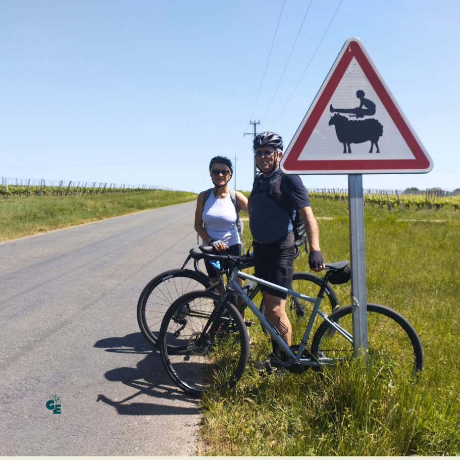 Bordeaux bike tour vineyards