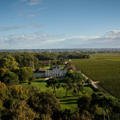 Experience the peaceful beauty of the Médoc countryside on scenic gravel trails connecting vineyards, forests and charming villages.