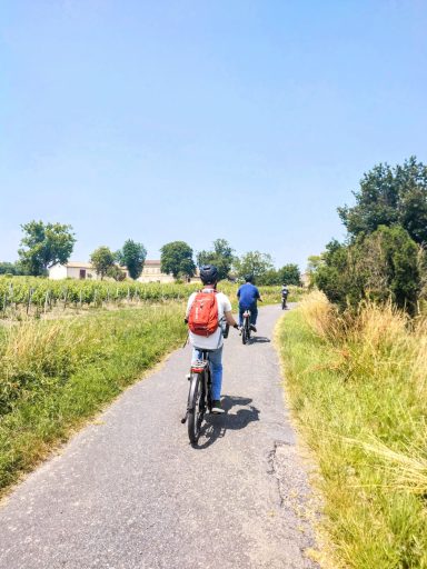 Visite les vignobles à proximité de Bordeaux à vélo électrique ou à vélo Gravel.