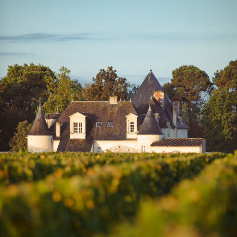 En gravel ou en vélo électrique - Immersion totale dans la région bordelaise Au départ de Bordeaux, explorez les chemins secrets de Saint-Emilion, du Médoc et du Bassin d'Arcachon.