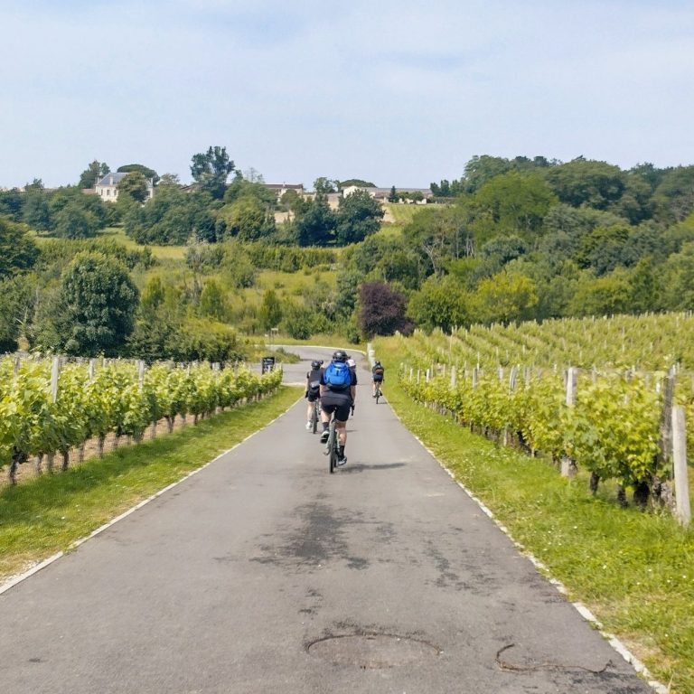 Ride Through Vineyards at the Heart of Bordeaux Cycling the Bordeaux Vineyards
