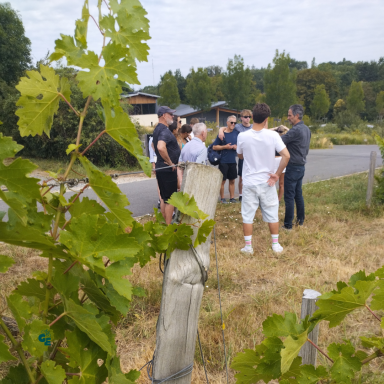 En option : Visite d'un château grand cru classé Saint-Emilion avec atelier de dégustation des vins de la propriété