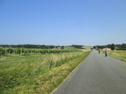 Cet itinéraire à vélo de Bordeaux à Saint-Emilion te fera découvrir les paysages emblématiques de cette région viticole mondialement connue.